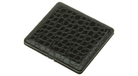 купите Портсигар S.Quire CP11A00-12 в Сургуте Нижневартовске